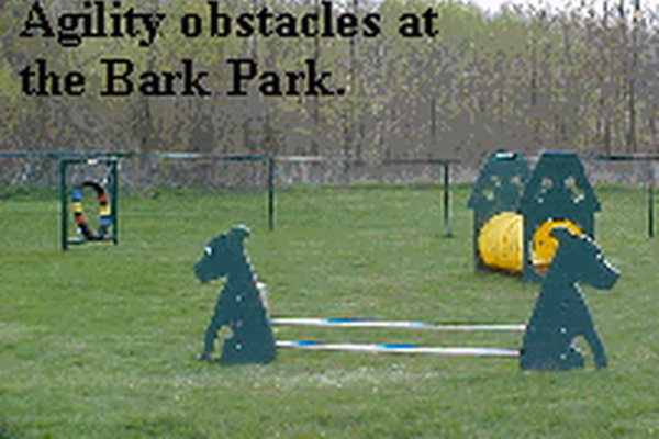 Steven A. Kirshenbaum Memorial Bark Park
